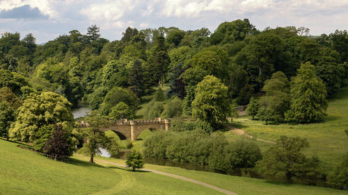 Trees by arch bridge against sky