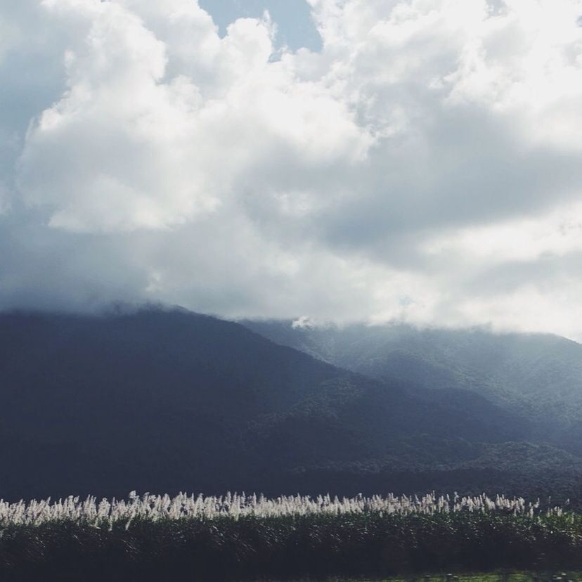 mountain, tranquil scene, sky, tranquility, landscape, scenics, beauty in nature, mountain range, cloud - sky, nature, cloud, cloudy, non-urban scene, idyllic, field, growth, remote, plant, horizon over land, outdoors