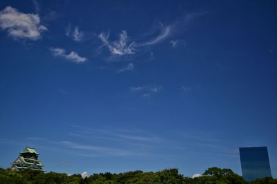 Low angle view of trees against blue sky