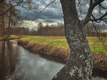 Scenic view of trees by lake against sky