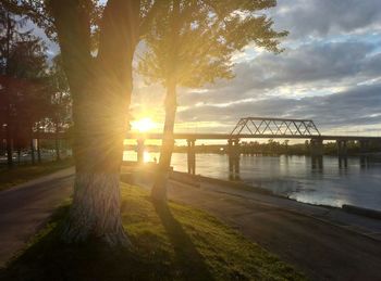 Silhouette trees at riverbank against sky during sunset