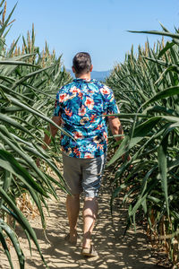 Rear view of man walking against clear sky