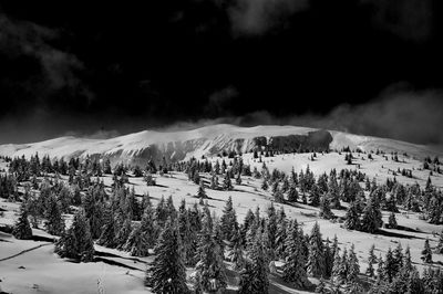 High angle view of trees on snow covered landscape against sky