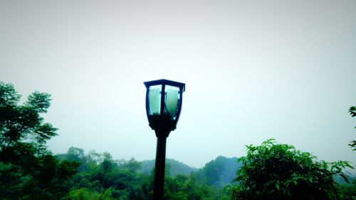 Low angle view of trees against sky