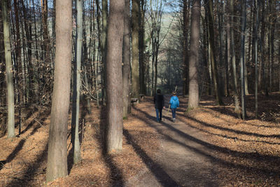 Rear view of man walking in forest