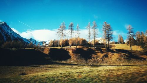 Scenic view of landscape against clear blue sky