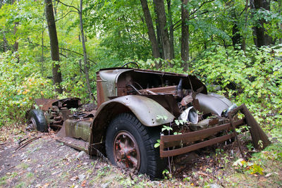 Vintage car in forest