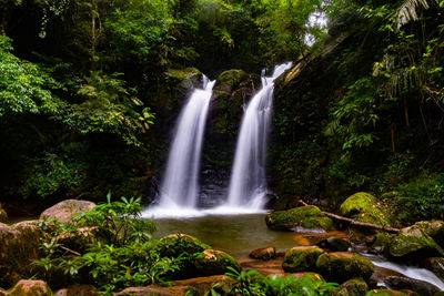 Scenic view of waterfall in forest