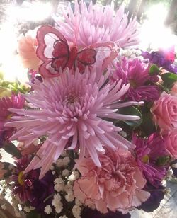 Close-up of pink flowers