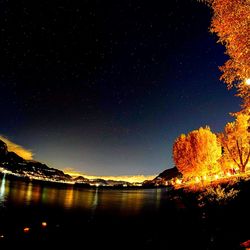 Scenic view of trees against sky at night