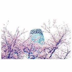 Low angle view of tree against sky