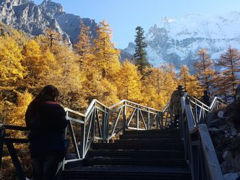 Rear view of man standing on footbridge