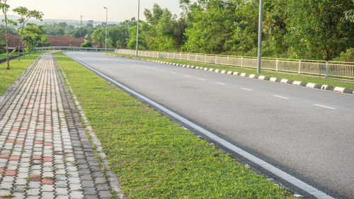 Road by trees