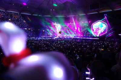 Crowd at music concert