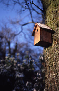 Low angle view of birdhouse mounted on tree trunk