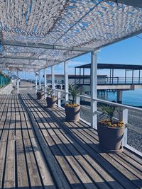 Potted plants on table by sea against buildings