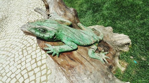 Wooden lizard statue at park