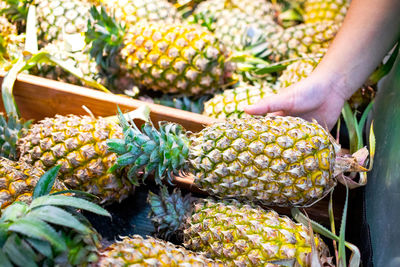 Midsection of person for sale at market stall