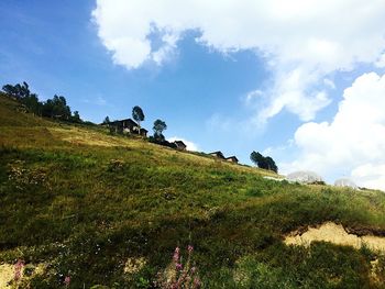 Low angle view of grassy field against cloudy sky