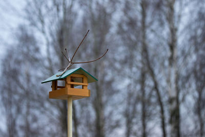 Low angle view of a bird on plant