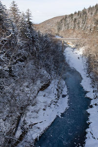 Scenic view of frozen river amidst trees during winter