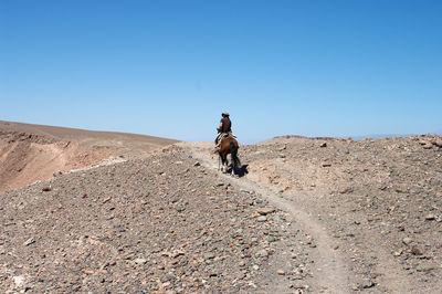 Man riding horse on land against clear blue sky