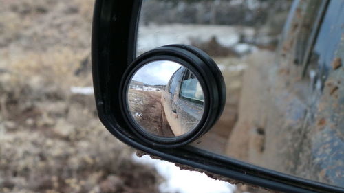 Reflection of trees on side-view mirror