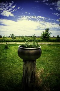 Scenic view of grassy field against sky