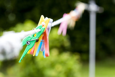 Close-up of multi colored clothespins hanging on clothesline