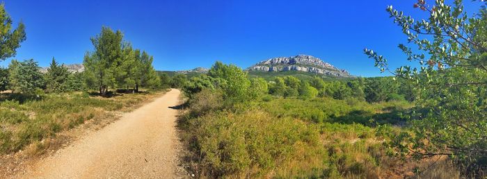 Scenic view of landscape against clear blue sky