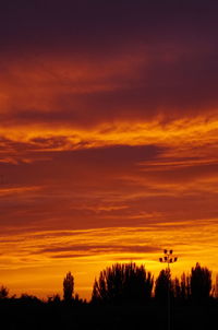 Silhouette trees against dramatic sky during sunset