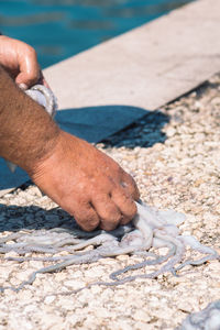 Fisherman slamming and softening with hand raw fresh octopus on the pier of the port of bari, puglia