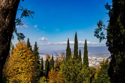 Autumnal view to caucasus mountain from hill top over tbilisi old town