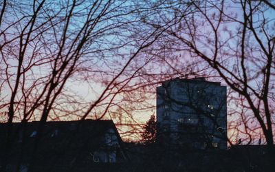 Low angle view of bare tree against sky