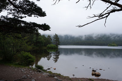 Scenic view of lake in forest against sky