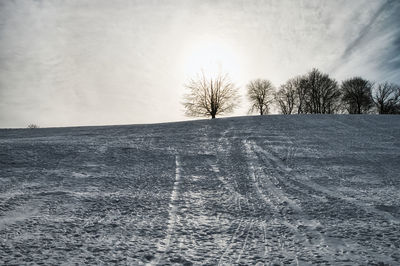 Scenic view of field against sky during winter