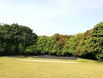 Scenic view of green landscape and trees against sky