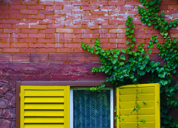 Cropped view of window shutter and brick wall