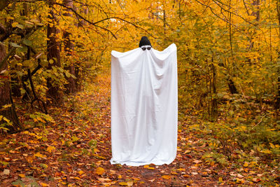 Low section of woman standing in forest