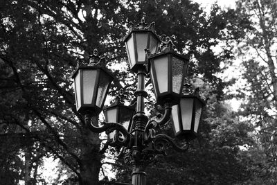 Low angle view of street light against trees