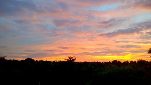 Silhouette trees on landscape against orange sky