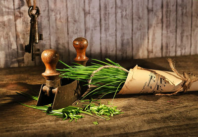 Close-up of plant on table