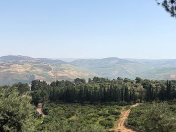 Scenic view of landscape against clear sky