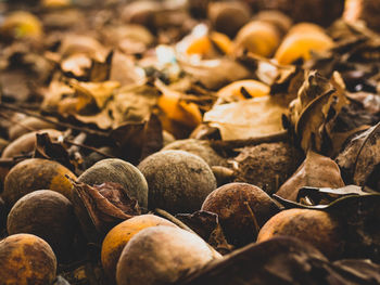 Full frame shot of fruits