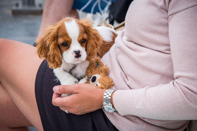 Midsection of woman with dog