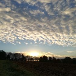 Scenic view of field against sky during sunset