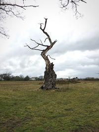 Bare trees on field against cloudy sky