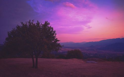 Silhouette trees on landscape against sky at sunset