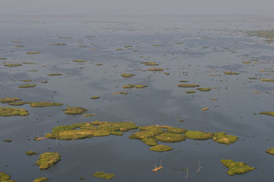 Mesmerizing view of word famous loktak lake 