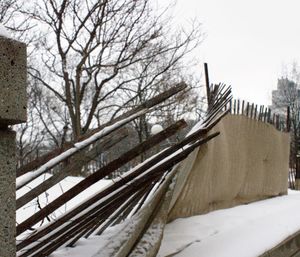 Bare trees in the dark
